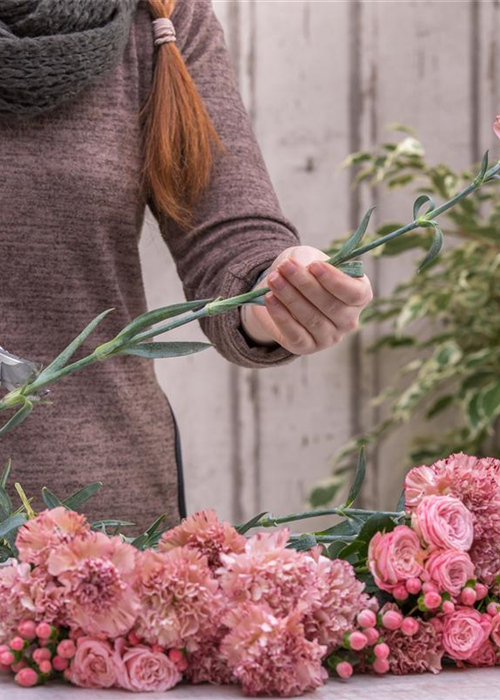 Auszubildende Floristik gesucht! Auszubildende Floristik gesucht!