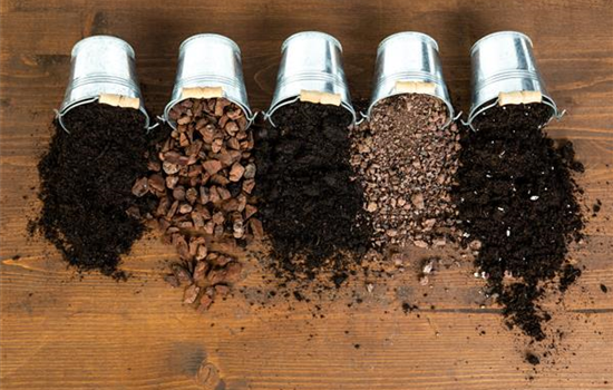 Die passende Erde für die Lieblingspflanzen in Haus und Garten Die passende Erde für die Lieblingspflanzen in Haus und Garten