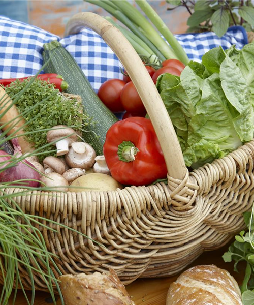 Das Pflanzen von Gemüse 