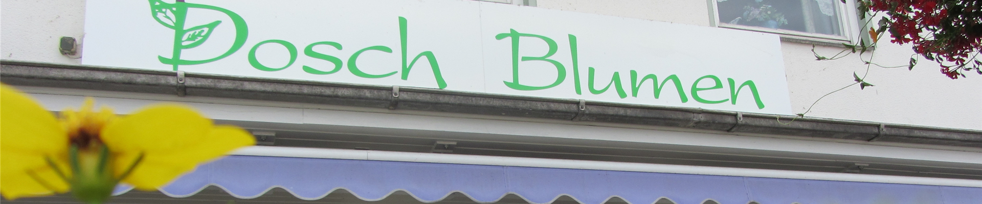 IMG_3675-0-0-3647-2051 IMG_3675-0-0-3647-2051