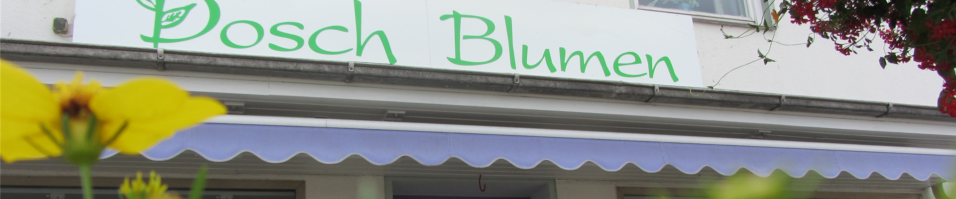 IMG_3675-0-0-4000-2250 IMG_3675-0-0-4000-2250