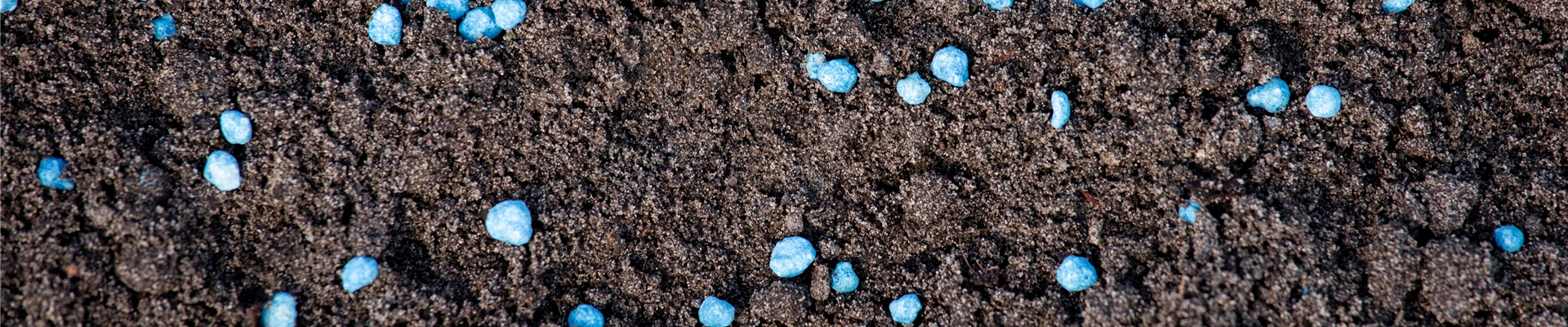 Dünger - Blaukorn Dünger - Blaukorn