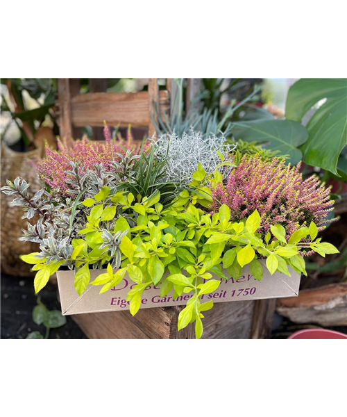 Herbstklänge Herbstklänge