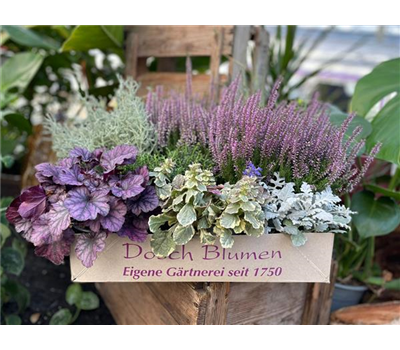 Herbstsonne 1 Herbstsonne 1