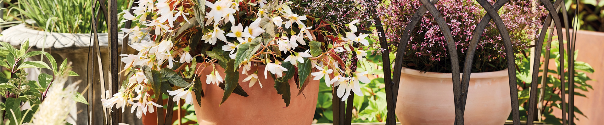 pdj_2025_duo_quer_quelle_katrin_winner