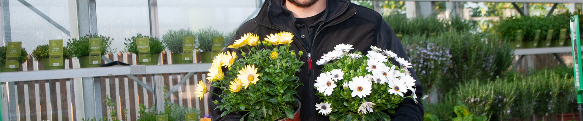 Dosch-0853 Dosch-0853