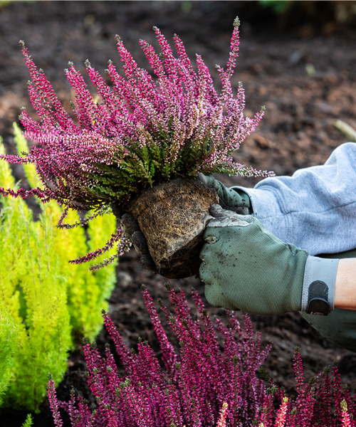 Ausbildung bei Dosch Blumen Ausbildung bei Dosch Blumen