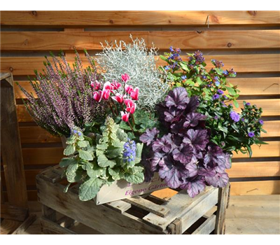 Gemütlicher Herbstabend