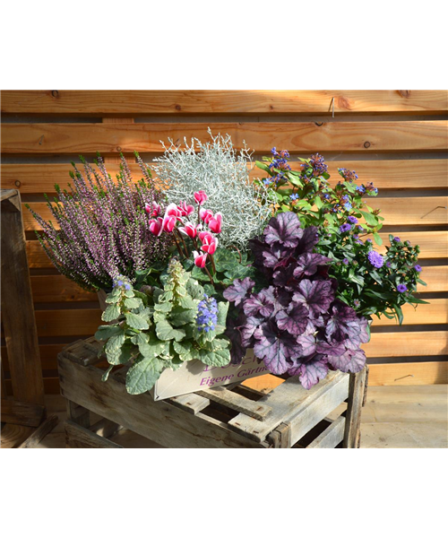 Gemütlicher Herbstabend Gemütlicher Herbstabend