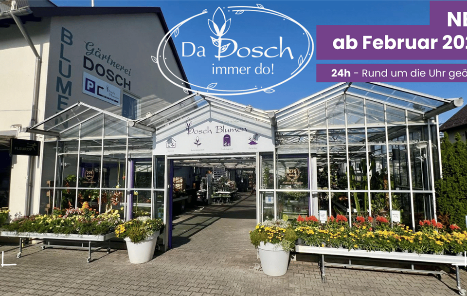 Da Dosch immer Do 2.png