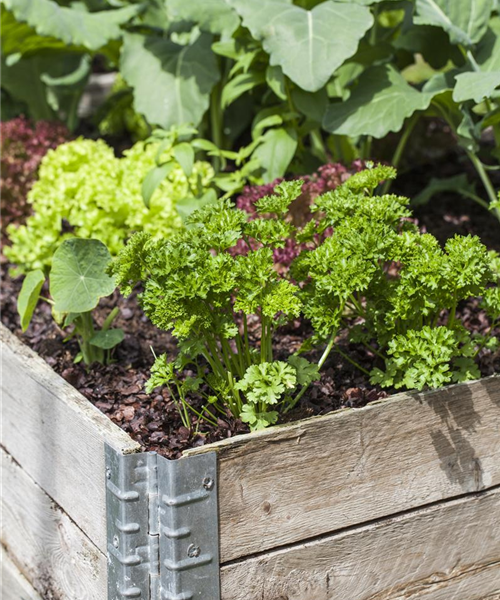 Das DIY-Hochbeet: nützlich, modern und super praktisch