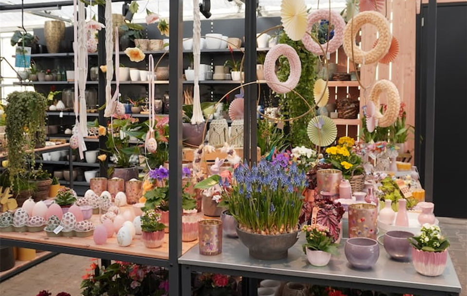 Dosch Blumen - Da Dosch immer do! - Ladenbereich cut.jpg