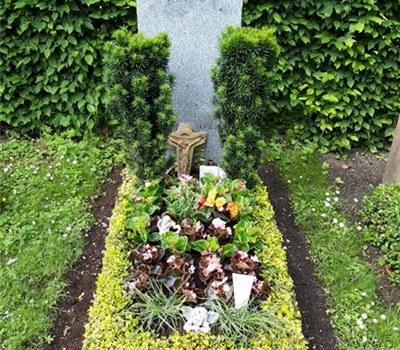 Einmalige Pflege mit Bepflanzung