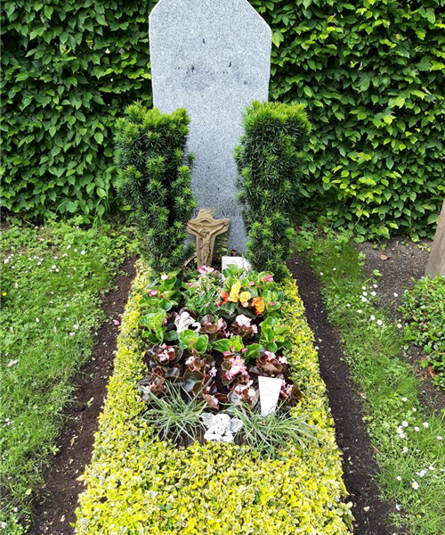 Einmalige Pflege mit Bepflanzung