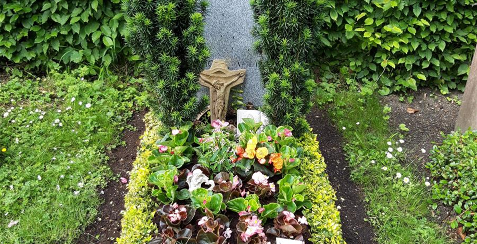 Einzelgrab Euonymus gelb.jpg