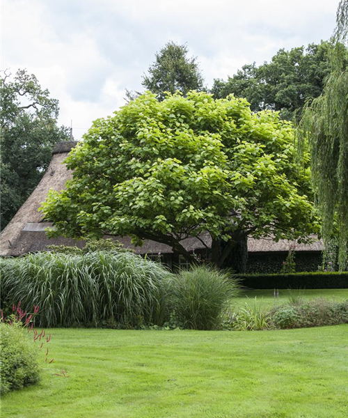 Frühjahrskur für Ihren Rasen