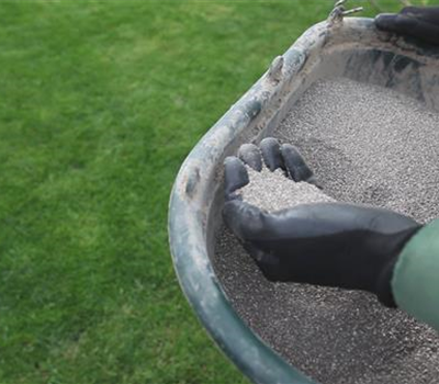 Rasen - Schnitt und Pflege Rasen - Schnitt und Pflege