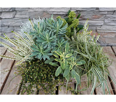 Eleganter Herbstbote