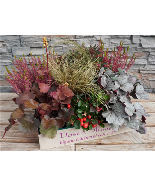 Gemütlicher Herbsttag